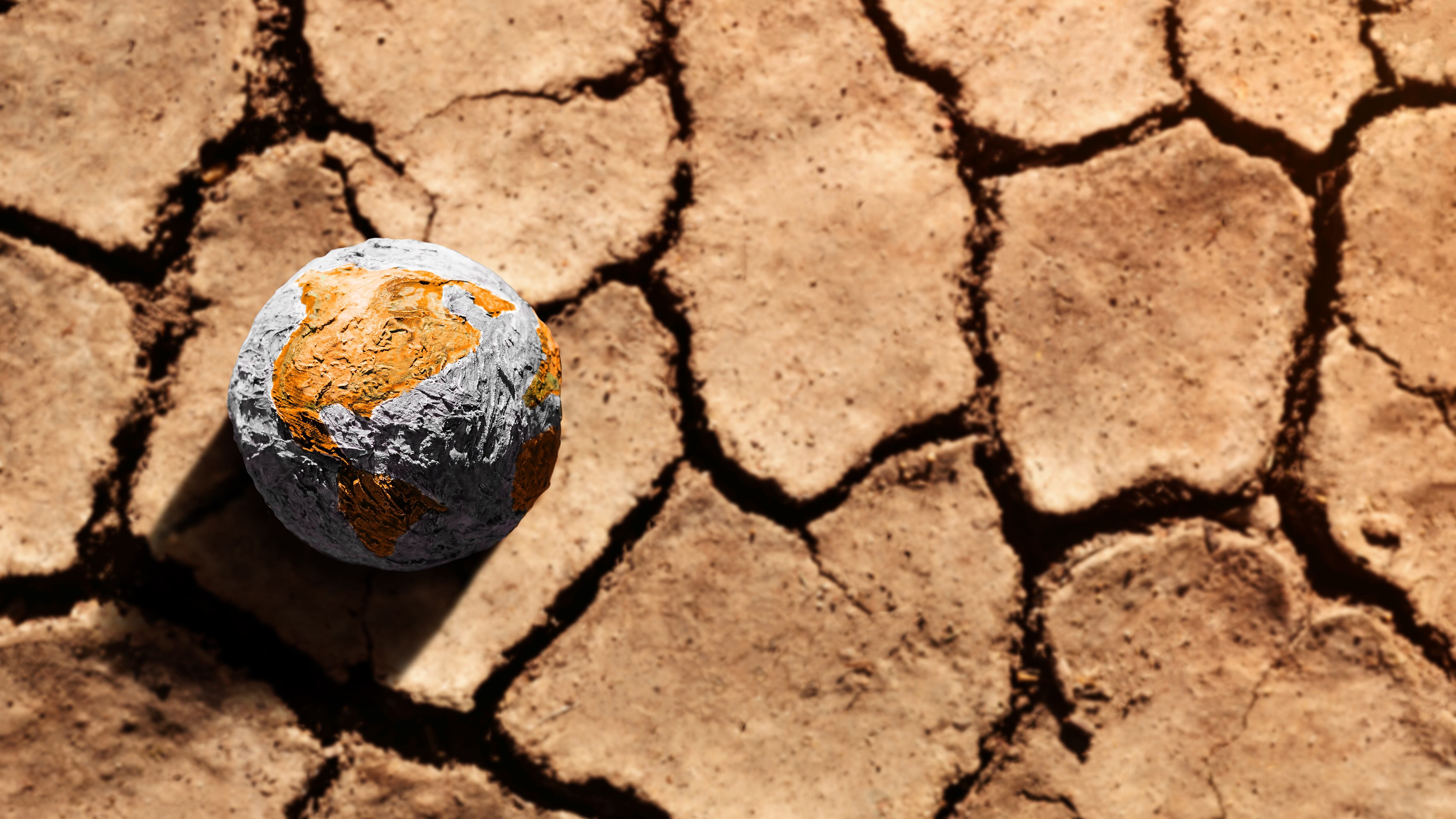 dry ground with globe