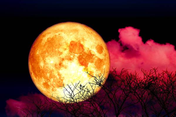 How to check out Saturday’s Strawberry Moon